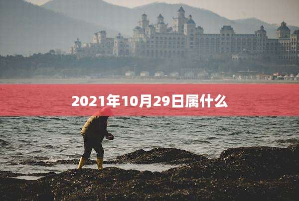 2021年10月29日属什么