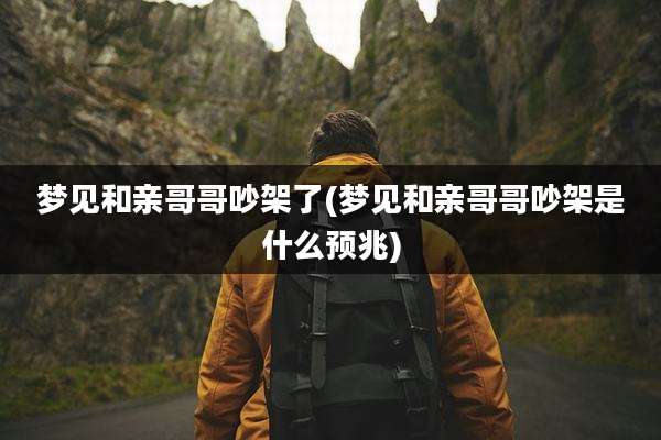 梦见和亲哥哥吵架了(梦见和亲哥哥吵架是什么预兆)
