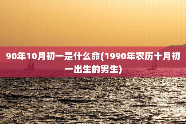90年10月初一是什么命(1990年农历十月初一出生的男生)