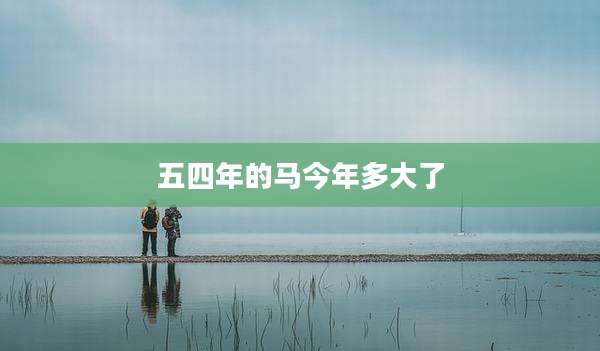 五四年的马今年多大了