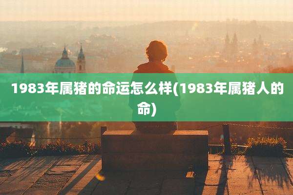 1983年属猪的命运怎么样(1983年属猪人的命)