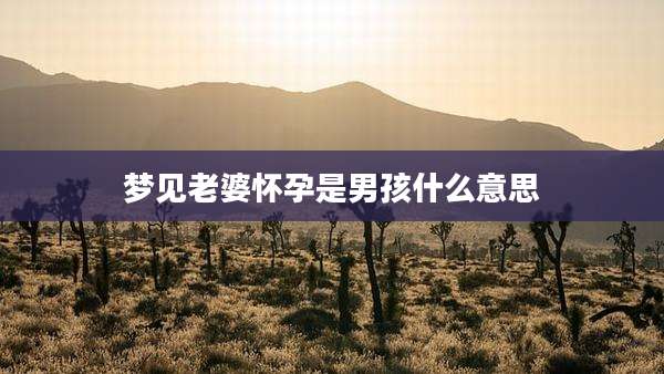 梦见老婆怀孕是男孩什么意思