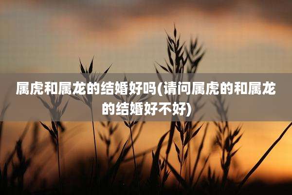 属虎和属龙的结婚好吗(请问属虎的和属龙的结婚好不好)