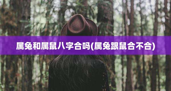 属兔和属鼠八字合吗(属兔跟鼠合不合)