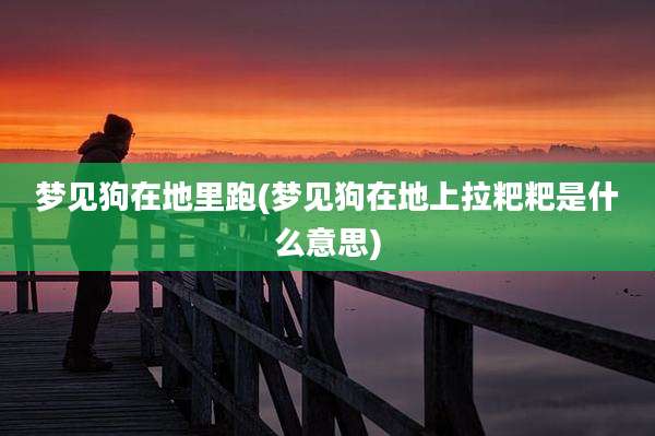 梦见狗在地里跑(梦见狗在地上拉粑粑是什么意思)