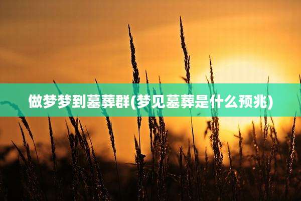 做梦梦到墓葬群(梦见墓葬是什么预兆)