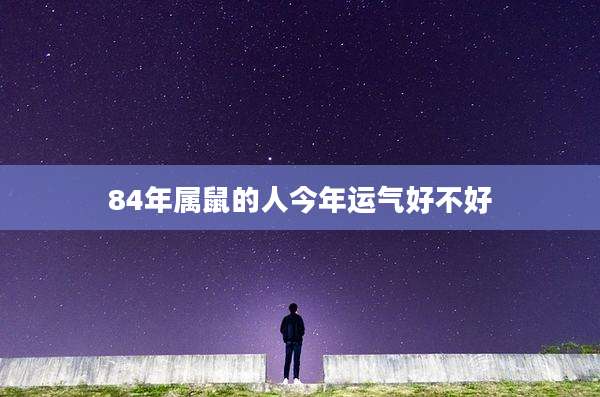 84年属鼠的人今年运气好不好