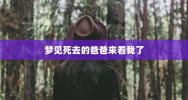 梦见死去的爸爸来看我了