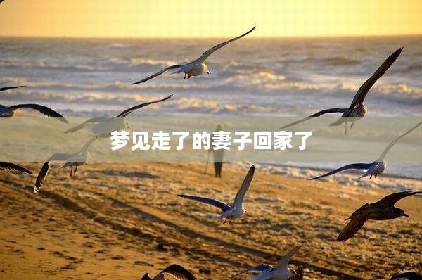 梦见走了的妻子回家了
