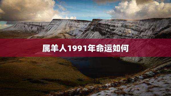 属羊人1991年命运如何