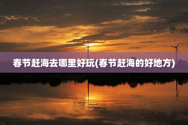 春节赶海去哪里好玩(春节赶海的好地方)