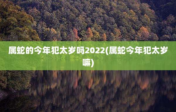 属蛇的今年犯太岁吗2022(属蛇今年犯太岁嘛)