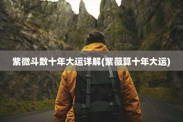 紫微斗数十年大运详解(紫薇算十年大运)