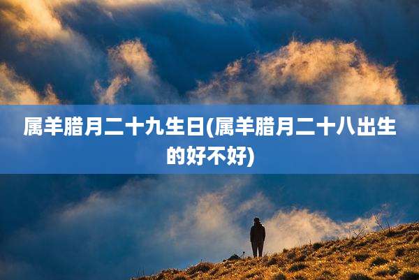 属羊腊月二十九生日(属羊腊月二十八出生的好不好)