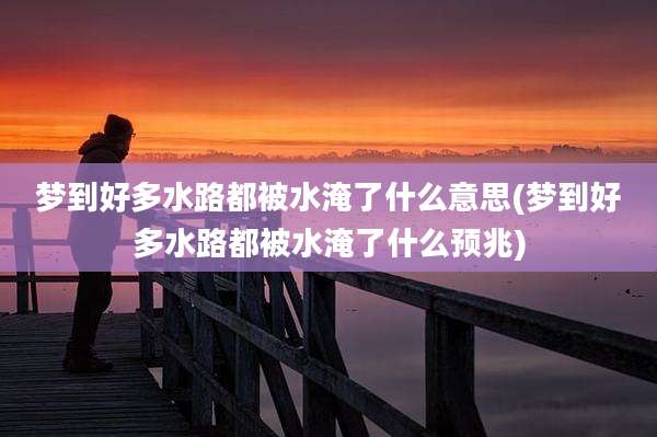 梦到好多水路都被水淹了什么意思(梦到好多水路都被水淹了什么预兆)