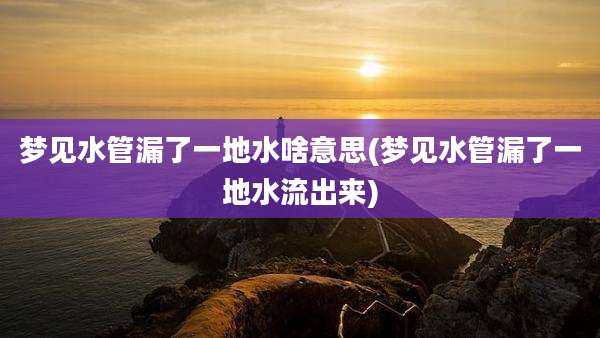 梦见水管漏了一地水啥意思(梦见水管漏了一地水流出来)