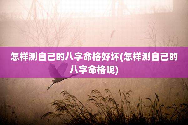 怎样测自己的八字命格好坏(怎样测自己的八字命格呢)