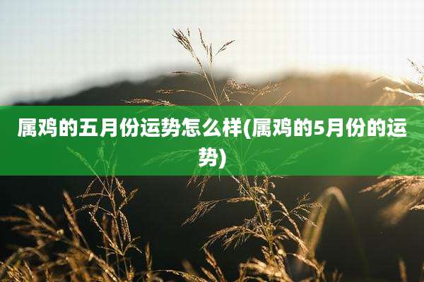 属鸡的五月份运势怎么样(属鸡的5月份的运势)