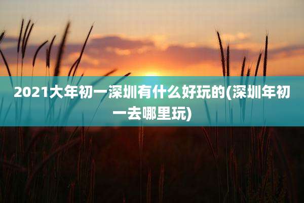 2021大年初一深圳有什么好玩的(深圳年初一去哪里玩)