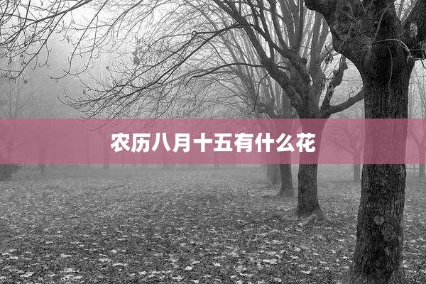 农历八月十五有什么花