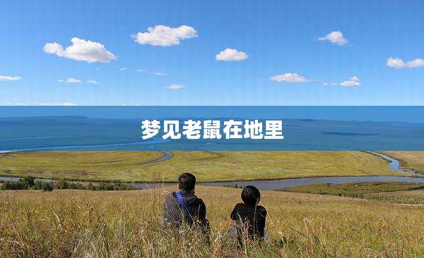 梦见老鼠在地里