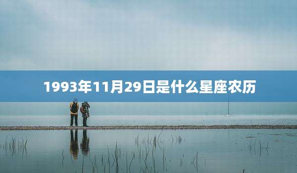 1993年11月29日是什么星座农历