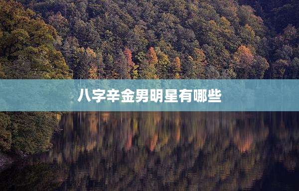 八字辛金男明星有哪些