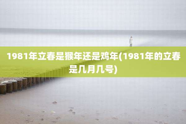 1981年立春是猴年还是鸡年(1981年的立春是几月几号)