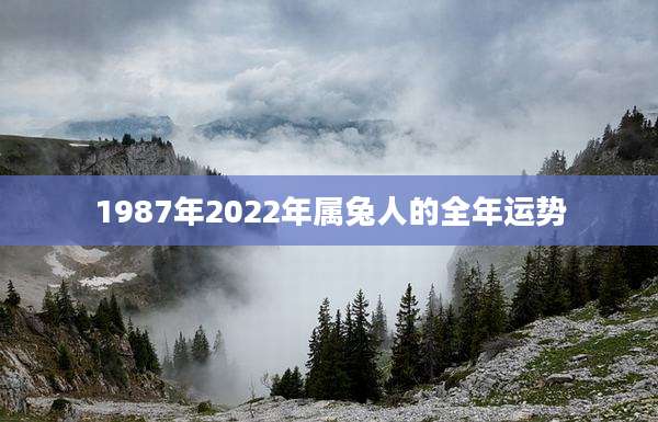 1987年2022年属兔人的全年运势