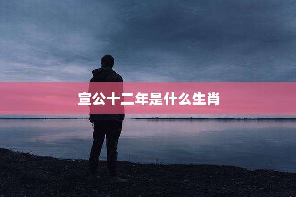 宣公十二年是什么生肖