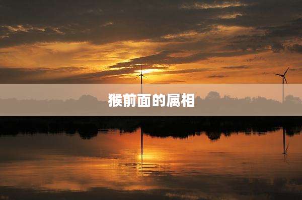 猴前面的属相