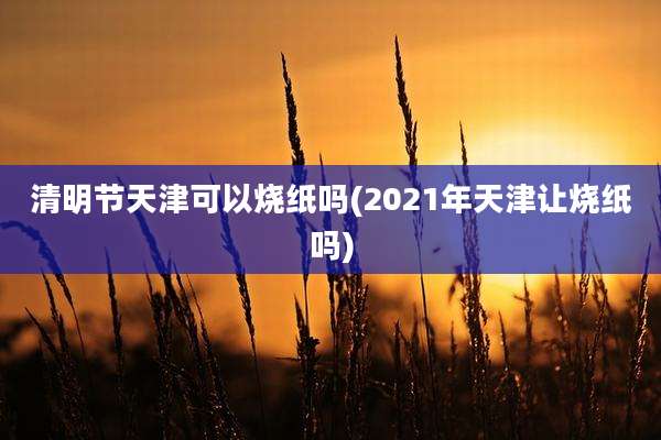 清明节天津可以烧纸吗(2021年天津让烧纸吗)