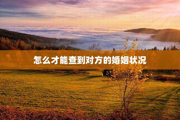 怎么才能查到对方的婚姻状况