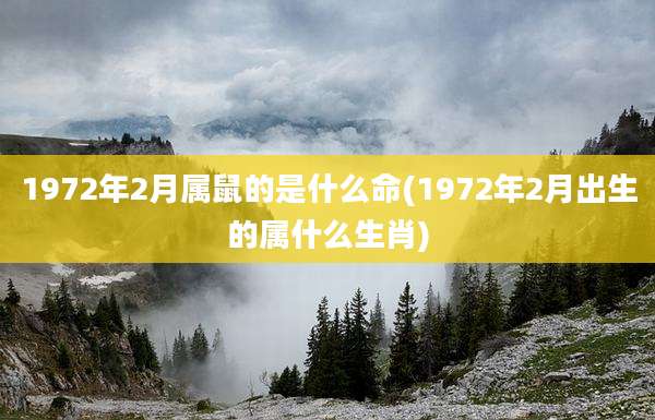 1972年2月属鼠的是什么命(1972年2月出生的属什么生肖)