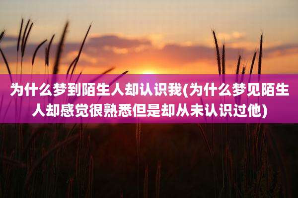 为什么梦到陌生人却认识我(为什么梦见陌生人却感觉很熟悉但是却从未认识过他)
