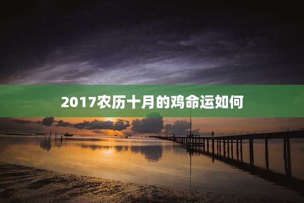 2017农历十月的鸡命运如何