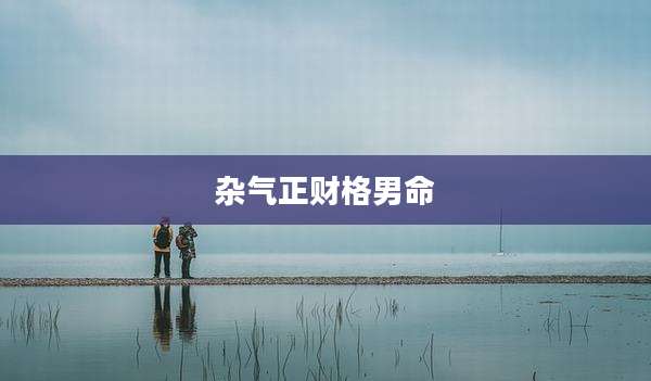 杂气正财格男命