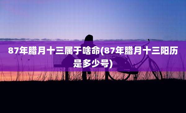 87年腊月十三属于啥命(87年腊月十三阳历是多少号)