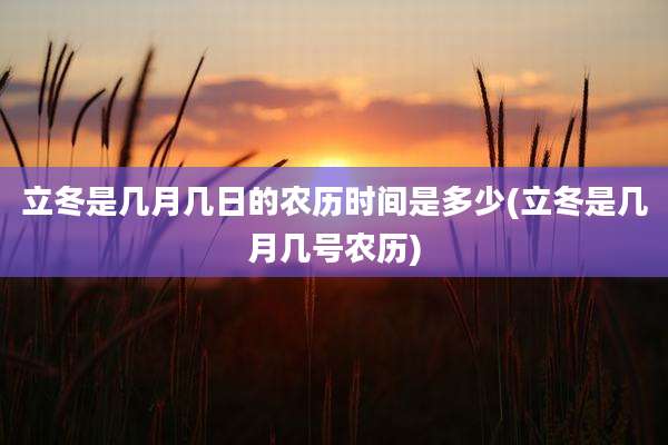 立冬是几月几日的农历时间是多少(立冬是几月几号农历)