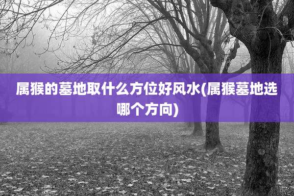 属猴的墓地取什么方位好风水(属猴墓地选哪个方向)