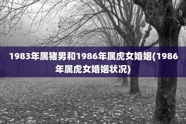 1983年属猪男和1986年属虎女婚姻(1986年属虎女婚姻状况)
