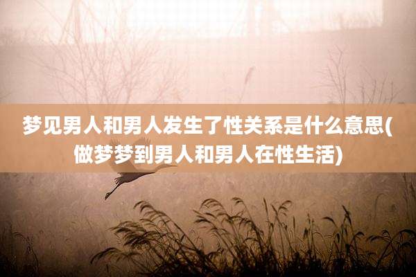 梦见男人和男人发生了性关系是什么意思(做梦梦到男人和男人在性生活)