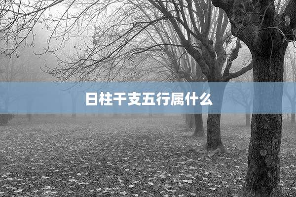 日柱干支五行属什么
