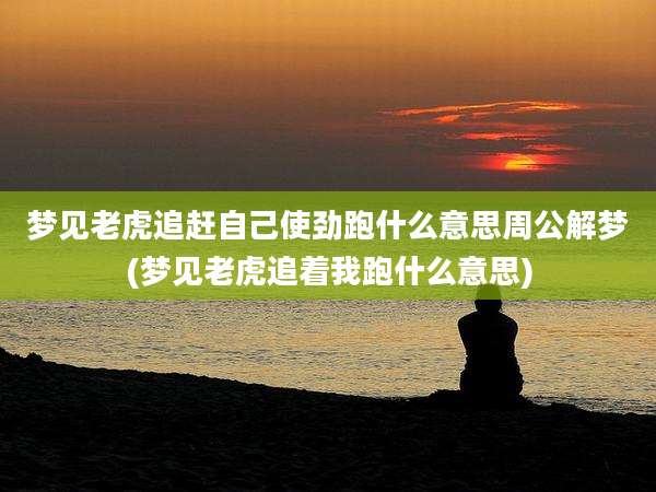 梦见老虎追赶自己使劲跑什么意思周公解梦(梦见老虎追着我跑什么意思)