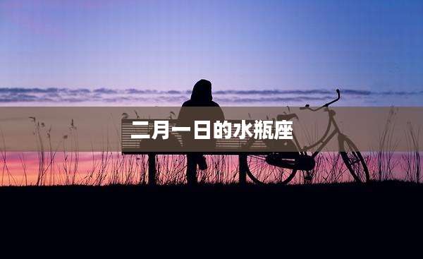 二月一日的水瓶座