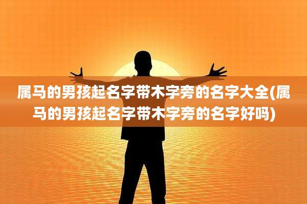属马的男孩起名字带木字旁的名字大全(属马的男孩起名字带木字旁的名字好吗)