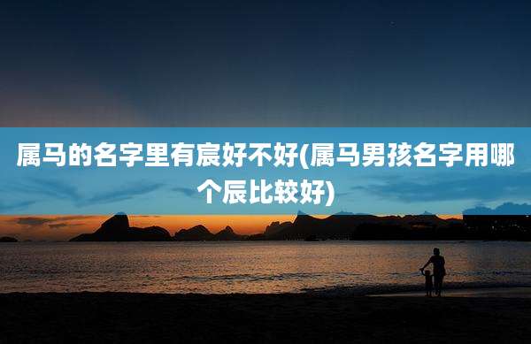 属马的名字里有宸好不好(属马男孩名字用哪个辰比较好)