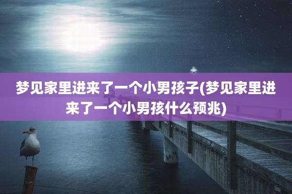 梦见家里进来了一个小男孩子(梦见家里进来了一个小男孩什么预兆)