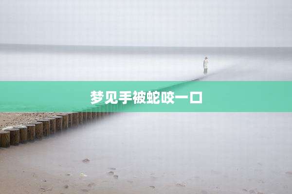 梦见手被蛇咬一口