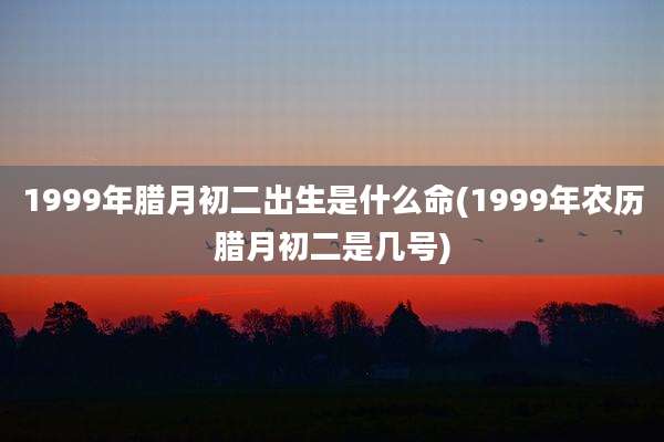 1999年腊月初二出生是什么命(1999年农历腊月初二是几号)